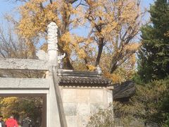 -苏州文庙(姑苏区)
