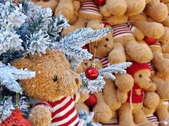 -HERRE·FARM 赫尔露营农场·团建聚会包场