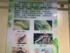 -上海昆虫博物馆