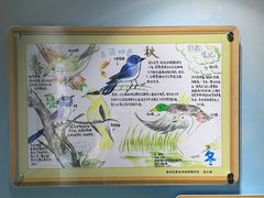 -上海昆虫博物馆