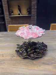 -韩国李知恩形象设计
