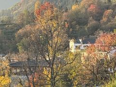 -塔川景区