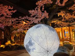 -蓝鲸湾汤泉(包河店)