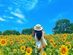 -苏州湾体育公园