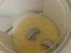 -自然之声助听器·呼吸机(贵定店)