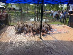 -武汉紫薇都市田园