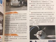 -美联众合爱康动物医院•复杂内科•肿瘤科•牙科•腔镜诊疗中心