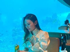 -海棠湾洲际-涛·海底餐厅·美人鱼·自助餐·海底隧道