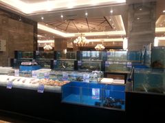 水产区-大铁勺新津菜(东丽阳光新业广场店)