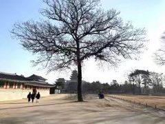 -景福宫