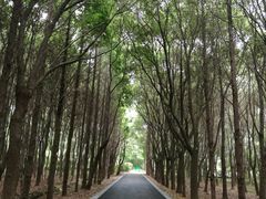 -同里国家湿地公园