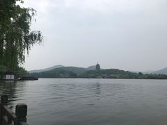 -杭州西湖柳莺里酒店