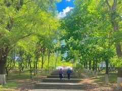 -长白岛森林公园