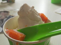 -Salud撒露欧洲冻酸奶(798艺术区店)