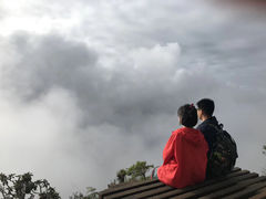 -霍顿平原国家公园