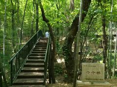 -宝岩生态观光园