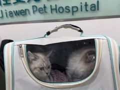 -佳雯宠物医院·皮肤科·内外科(春晓路分院)