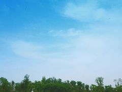 -瑶湖郊野森林公园