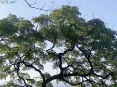 -桂林独秀峰王城景区