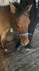 -小蜜蜂农场(凯德七宝购物广场店)