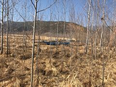 -泸沽湖国家级风景名胜区走婚桥