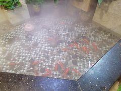 -舌尖上的食缘花园主题餐厅