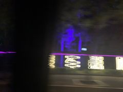 -枫花园汽车电影院(朝阳公园店)