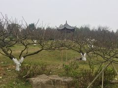 -秀丽东方