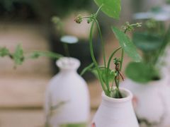 -三圣花乡旅游区