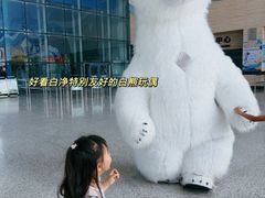 -泉城欧乐堡海洋极地世界