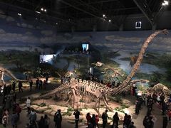 -自贡恐龙博物馆