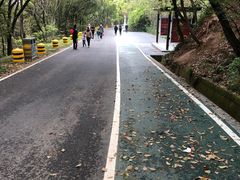 -惠山国家森林公园