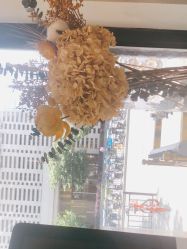 -FUTURE HN男士发型风格设计