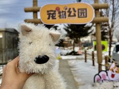 -枫叶小镇奥特莱斯