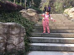 -铁山坪森林公园