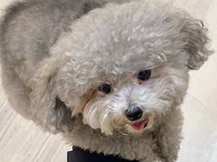 -金茂览秀城