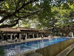 -喜洲吧·江畔老船厂·庭院餐厅(喜临院店)