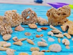 -亚龙湾海底世界