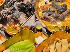 -Darling Queen·Mini·Live·House