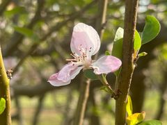 -江南大学(蠡湖校区)