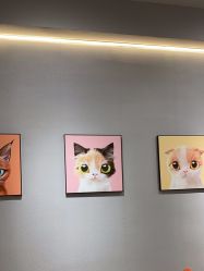 -洗脸猫·洗脸吧