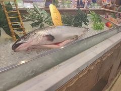 -冀粤香海鲜自助餐厅(西美五洲店)