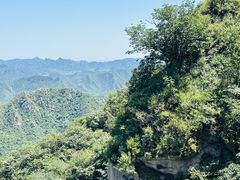 -大岭沟猕猴桃谷风景区