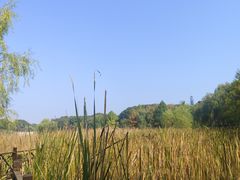 -贡湖湾湿地公园