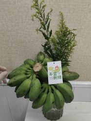 -摩瘦纤体订制减肥