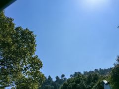 -树山生态村