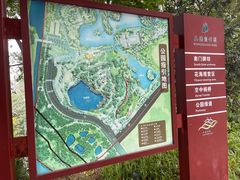 -王借岗森林公园