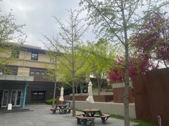 -阿那亚第一食堂 Cafeteria 1