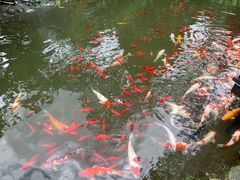 -贵阳市花溪国家城市湿地公园