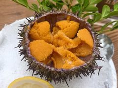 -红叶日料·放题·海胆·定食(星海店)
